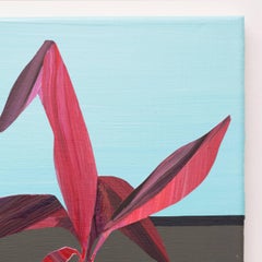 Plant Study