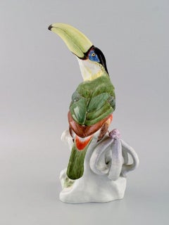 Paul Walther for Meissen, Large Antique Figure in Hand-Painted Porcelain, Toucan