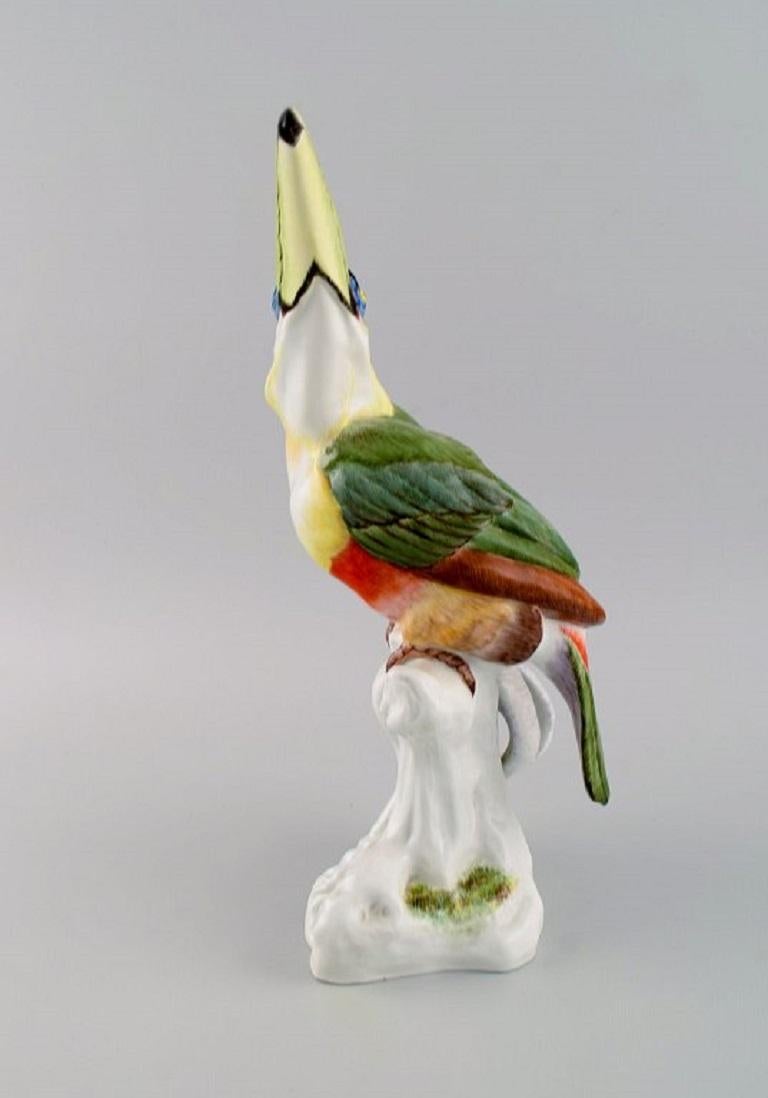 German Paul Walther for Meissen, Large Antique Figure in Hand-Painted Porcelain, Toucan
