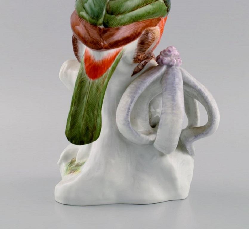 20th Century Paul Walther for Meissen, Large Antique Figure in Hand-Painted Porcelain, Toucan