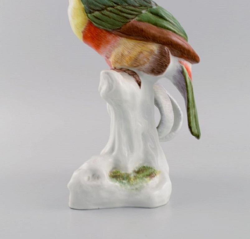 Paul Walther for Meissen, Large Antique Figure in Hand-Painted Porcelain, Toucan 1