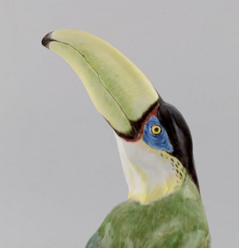 Paul Walther for Meissen, Large Antique Figure in Hand-Painted Porcelain, Toucan 2