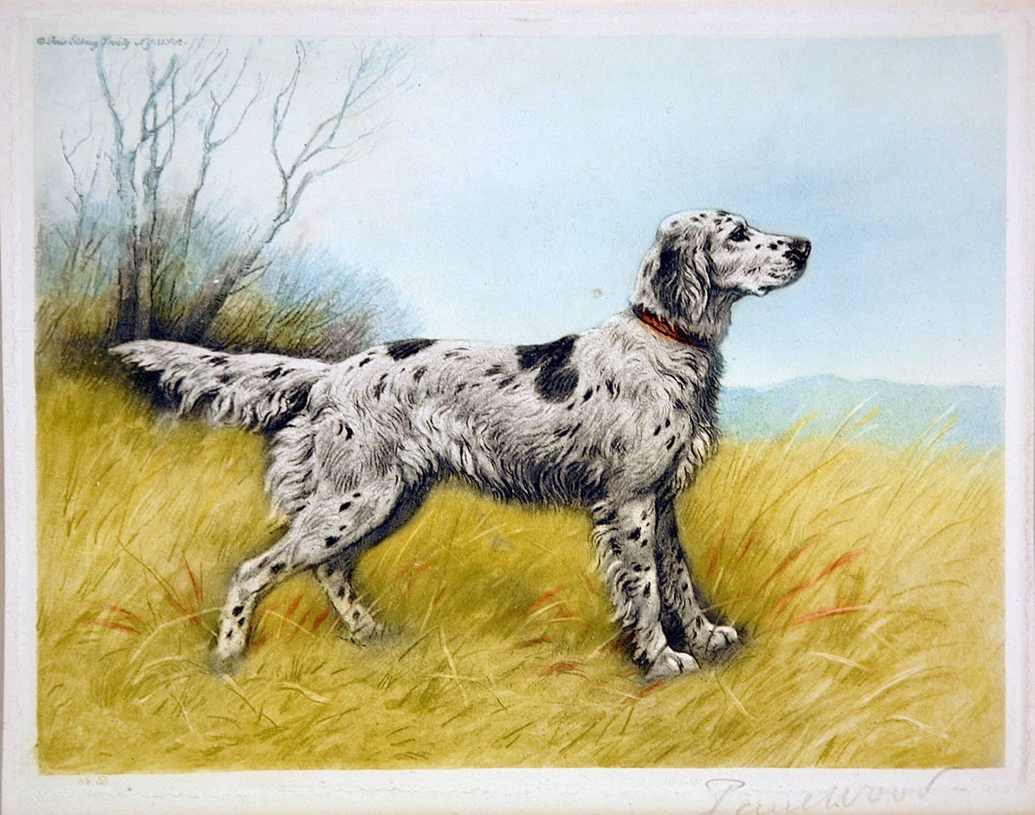 Paul Wood Animal Print - French Setter On Point