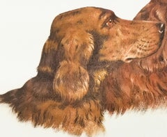 French Setters