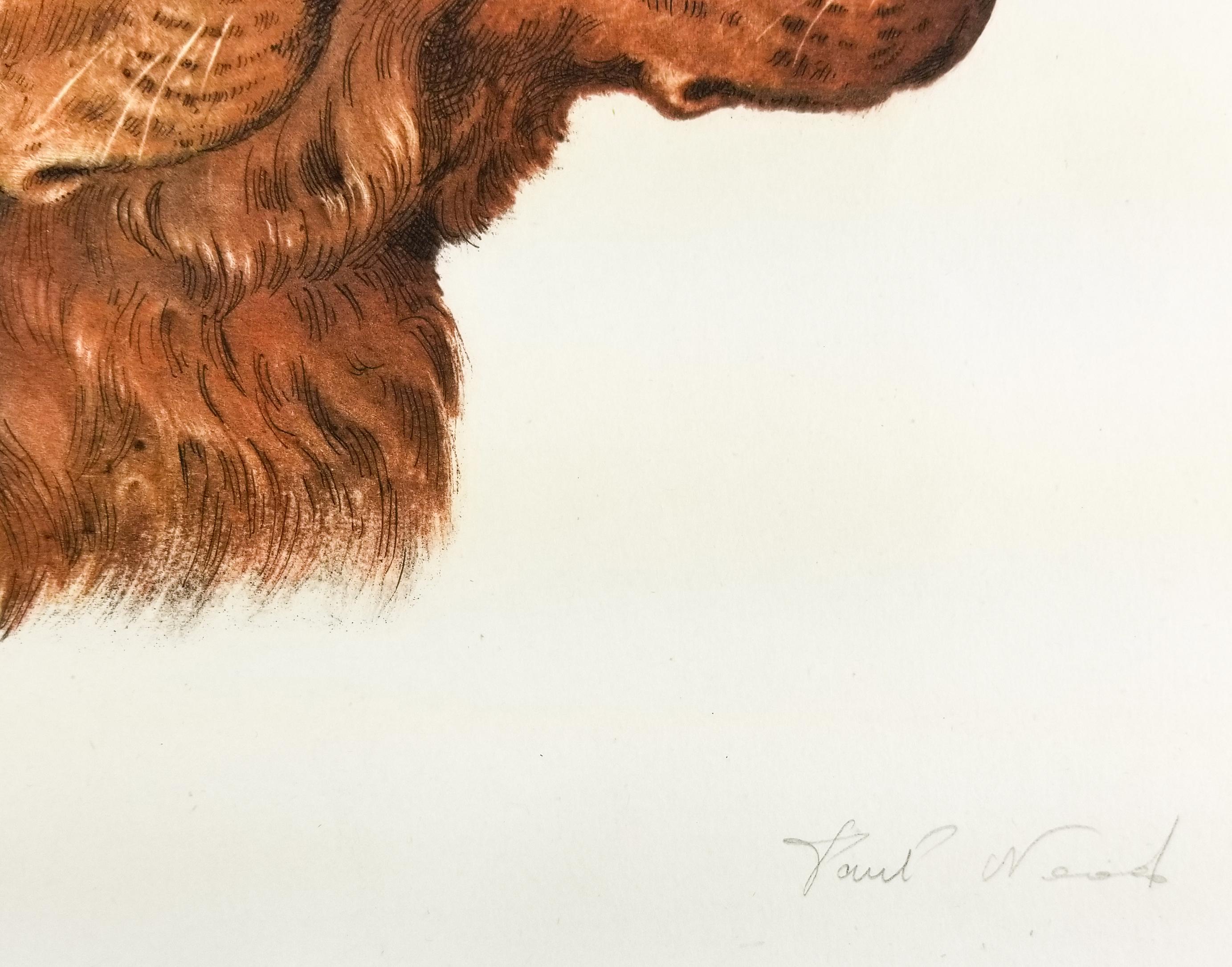 French Setters - Realist Print by Paul Wood