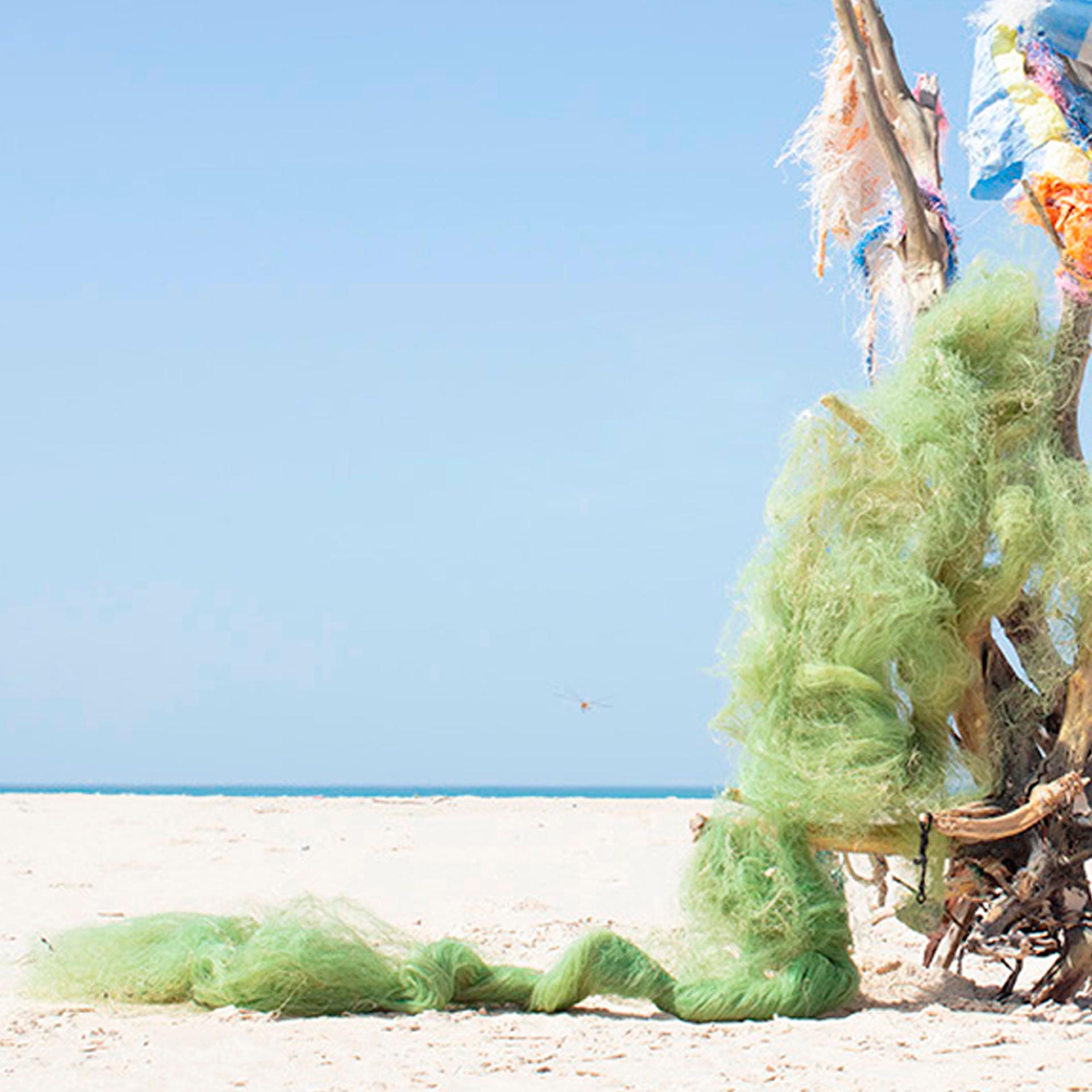 Caax 2018 by Paula Anta from the Khamekaye Series Edition of 5 For Sale 4