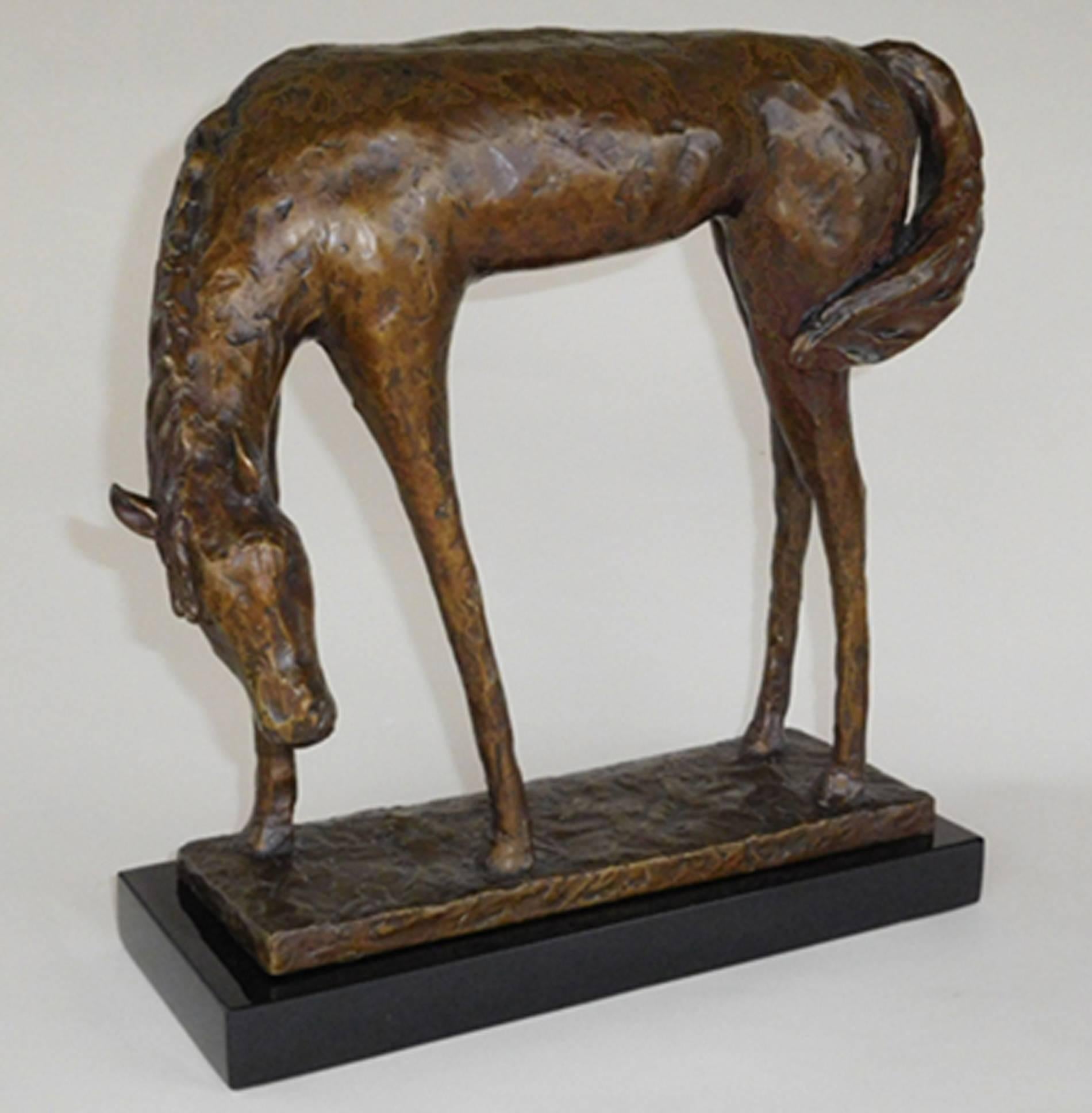 A limited edition bronze Horse on a black marble base.

From the limited edition of 8. 
Signed 1/8

Paula Blackman has been a bronze sculptor for 30 years working in Cleveland Ohio. Ms. Blackman has been granted eleven Public Art commissions.  She