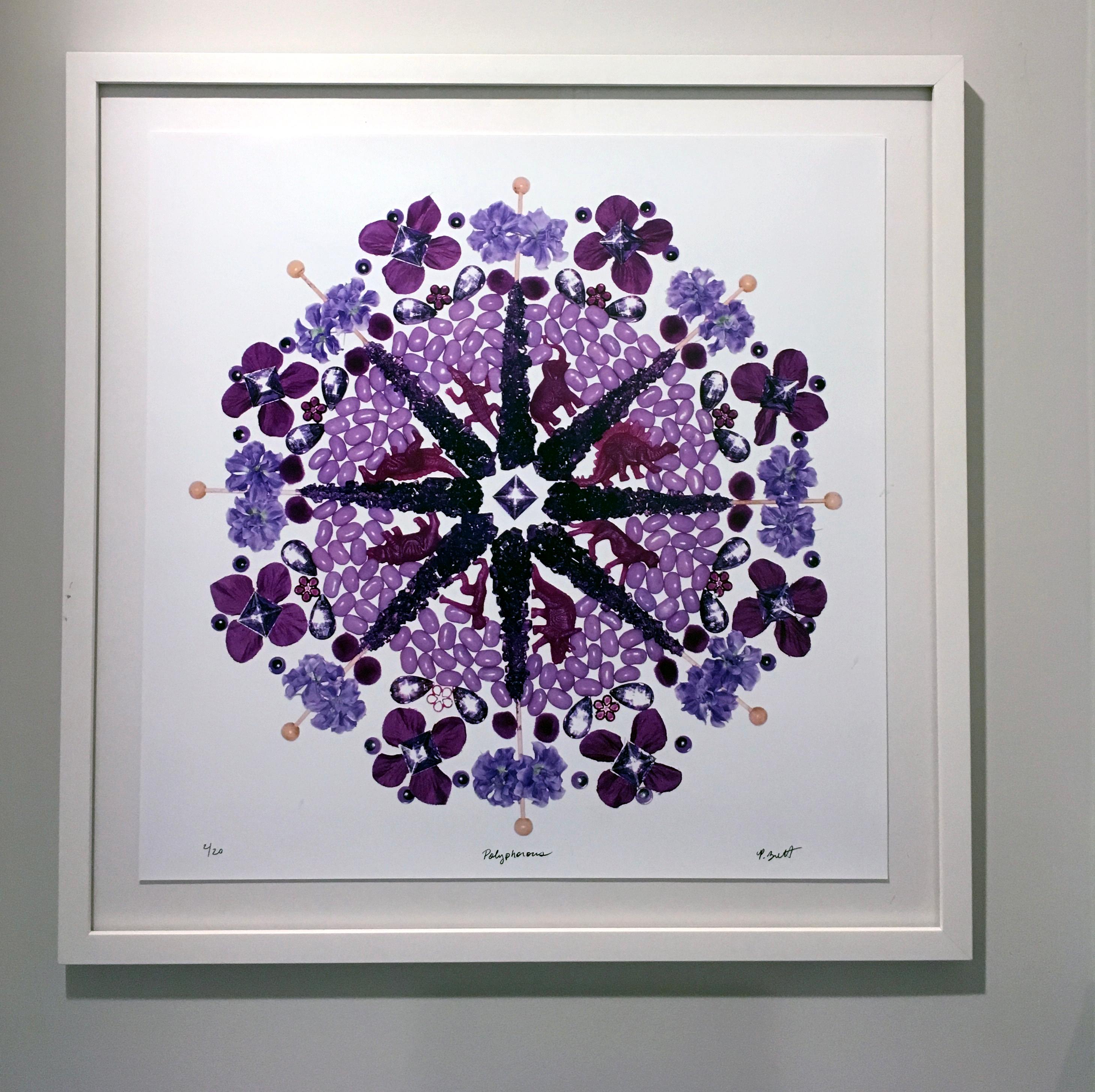 These limited edition photographs are Mandalas made from pieces of Candy or ice cream or toys or gems or fruit.  The Mandala is 20x20 with a white frame in a 24x24 framed size.  It is also available with plexifacemount framing.  It is an edition of