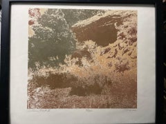 Etching Abstract Prints