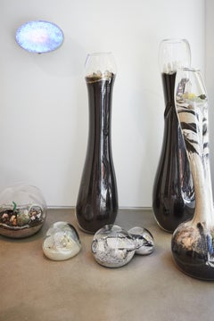 Paula Hayes Crash Site 3