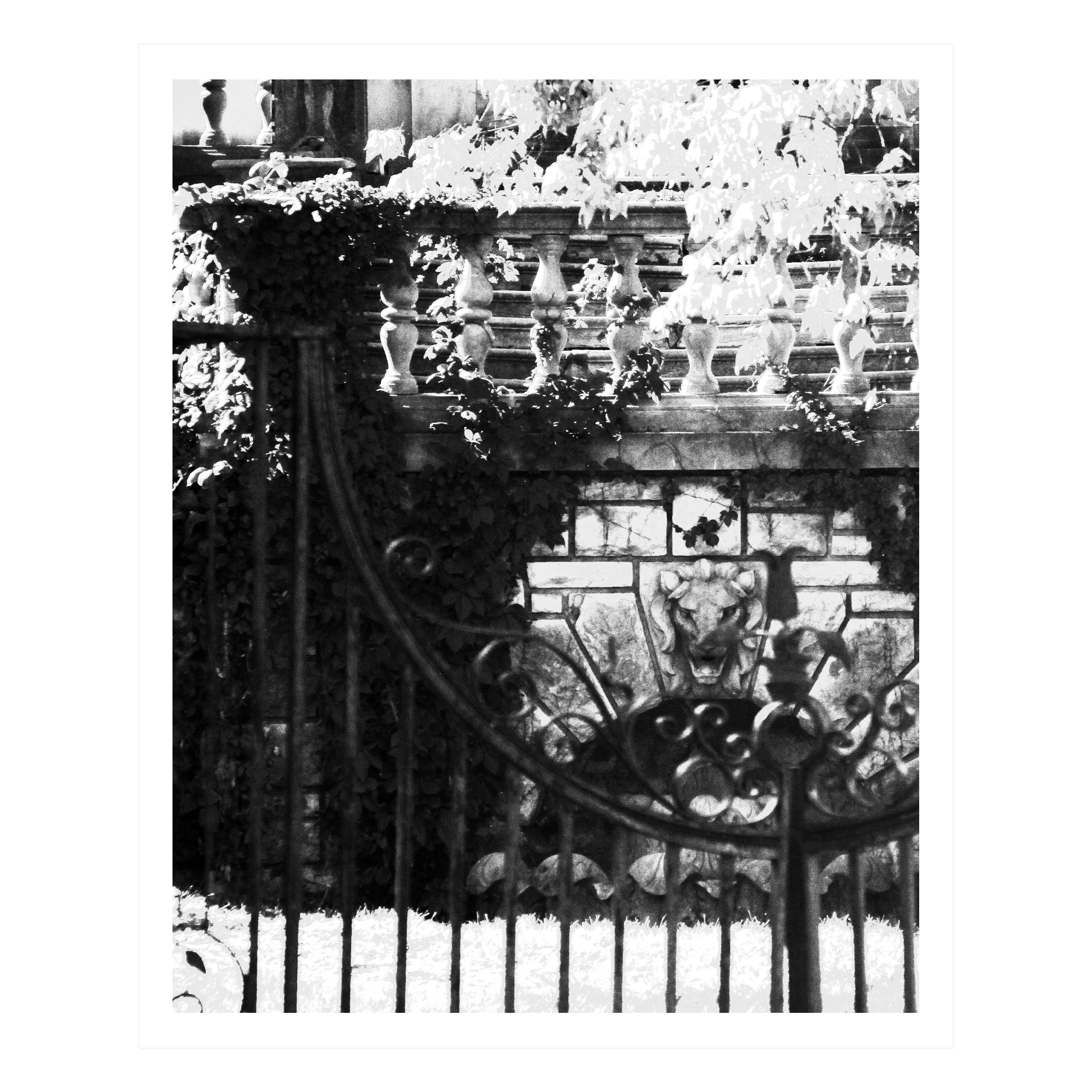 Cherry Street (40% OFF LIST PRICE) - Photograph by Paula Holmes