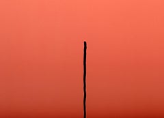 La letra I, serigrafía pop art de Paula Scher