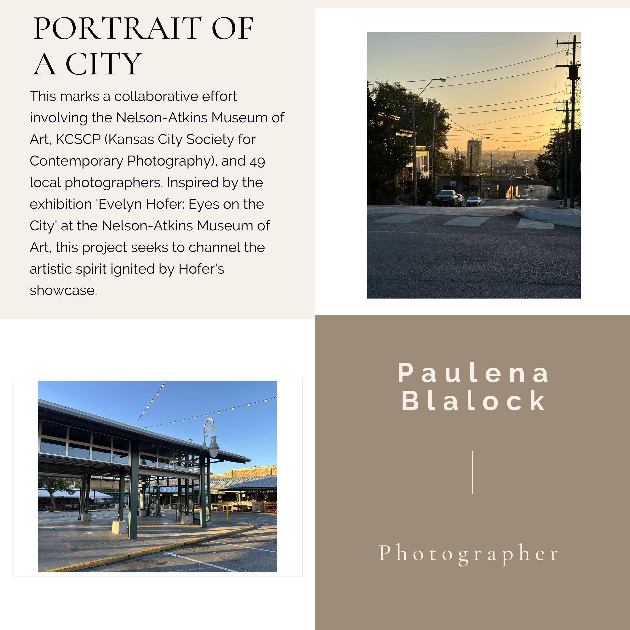 Sunrise with a bluebird, One Last Time?/.  (40% OFF LIST PRICE) - Black Landscape Photograph by Paulena Blalock