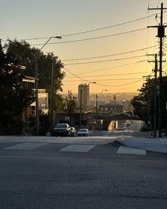 Sunrise with a bluebird, One Last Time?/.  (40% OFF LIST PRICE)