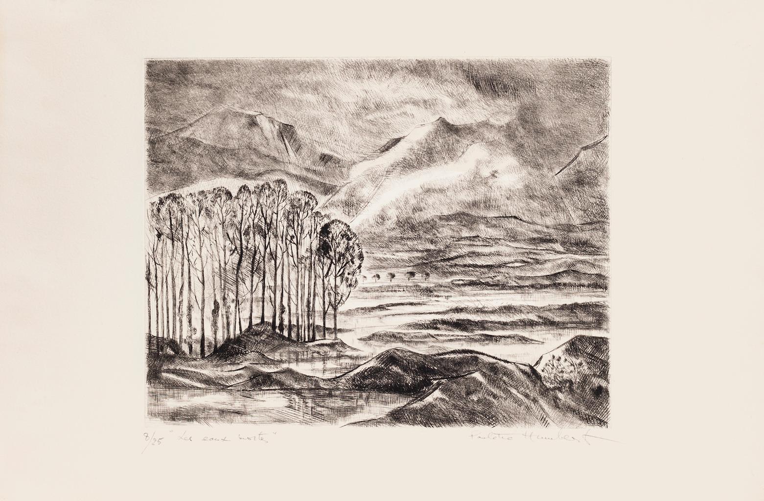 Paisaje es un aguafuerte original sobre papel realizado por Paulette Humbert.

Firmado a mano en la parte inferior derecha a lápiz. Numerada, edición de 8/25 copias. en la parte inferior izquierda a lápiz.

El estado de conservación es muy