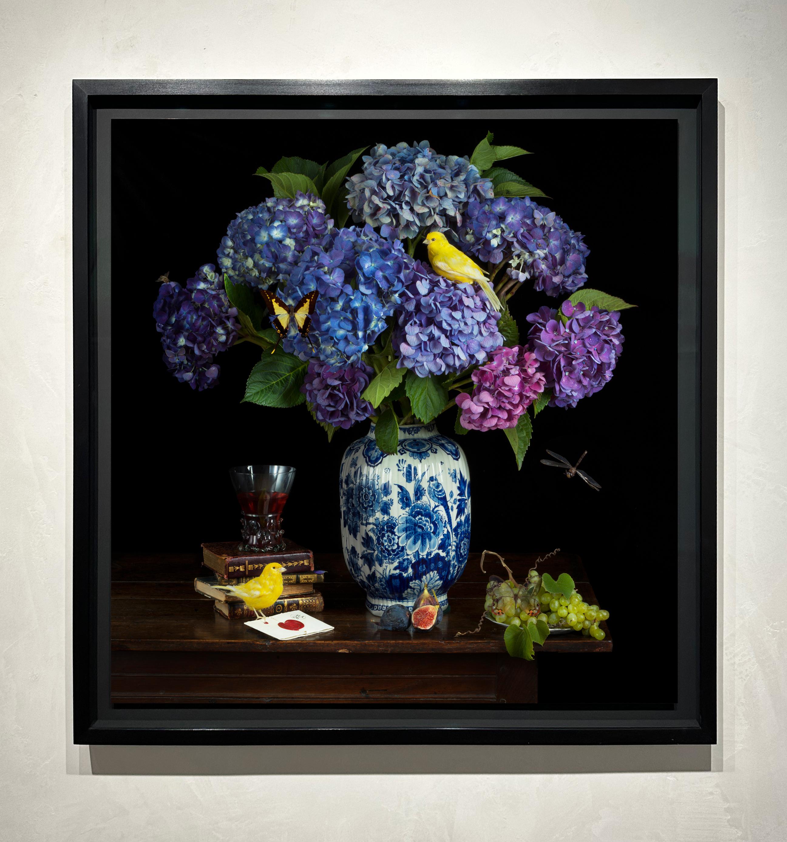 Blue Hydrangeas, Yellow Canaries & Love Letter - 36 x 36 inches, unframed - Photograph by Paulette Tavormina