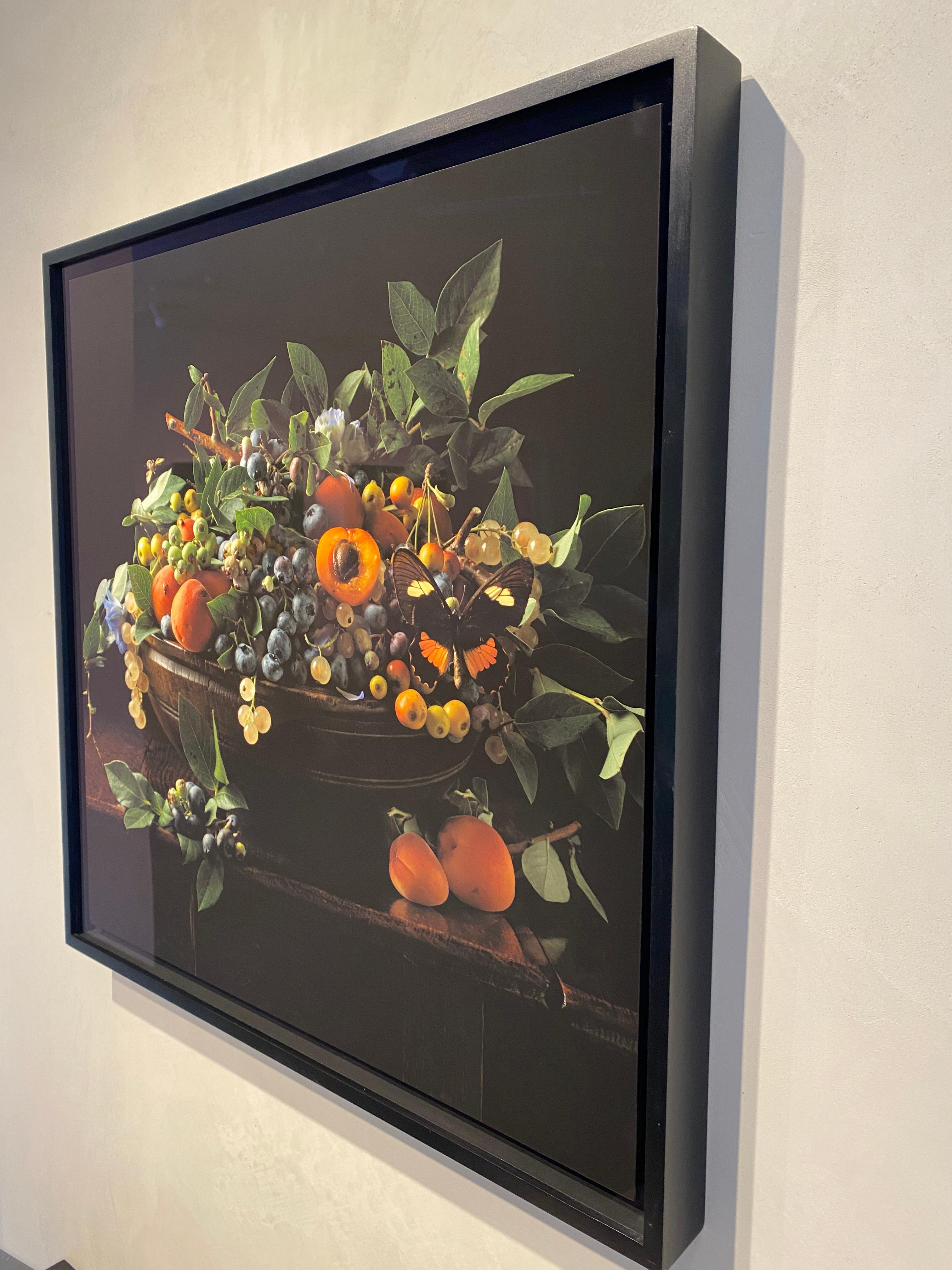 Framed in black this lush color still life photograph from photographer Paulette Tavormina  is filled with color. 

Other sizes available- Contact Gilman Contemporary for additional information. 

Paulette Tavormina lives and works in New York City.