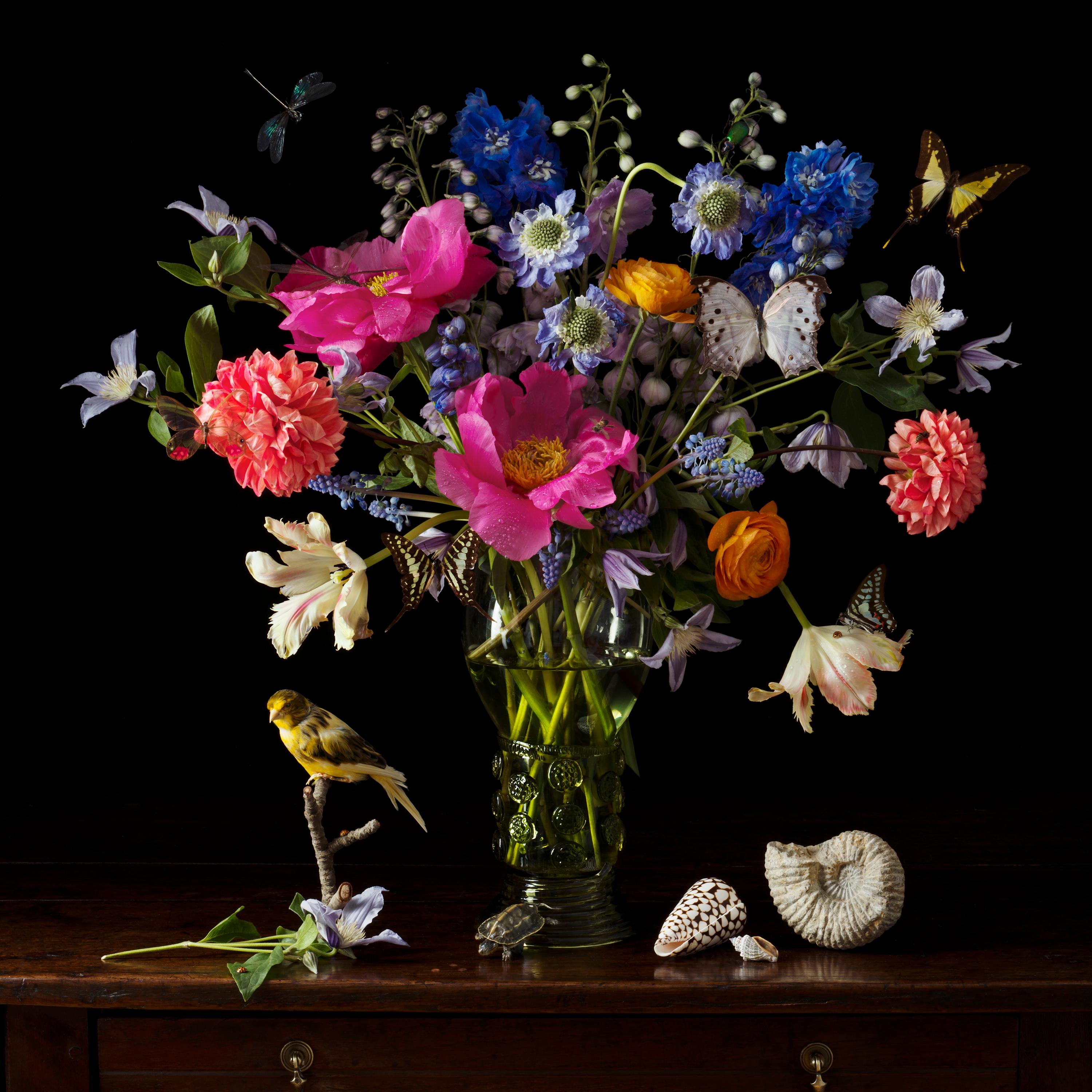 Paulette Tavormina Still-Life Photograph - Dutch Flowers, Yellow Canary & Turtle - 24 x 24 inches