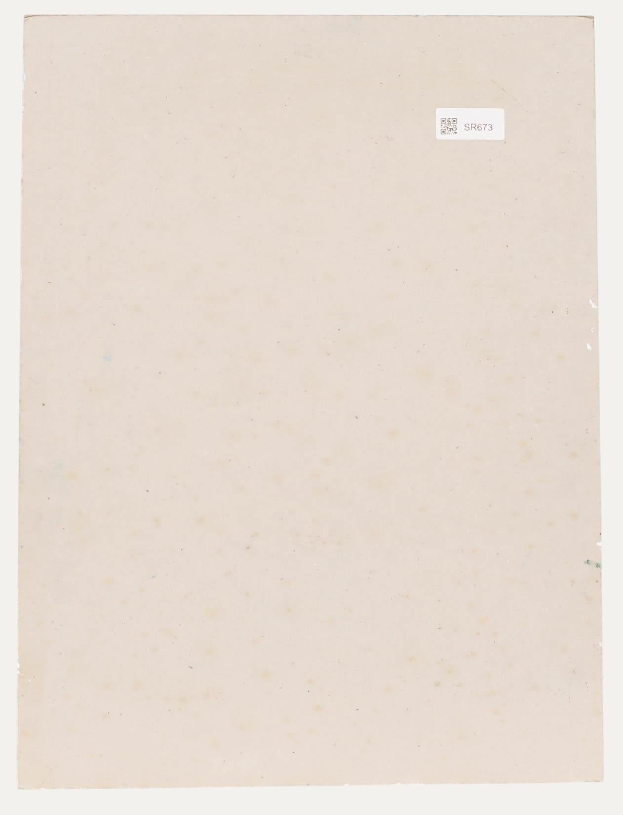 Pauline Plummer (geb. 1933) - 20. Jahrhundert Öl, Im Gewächshaus im Angebot 2