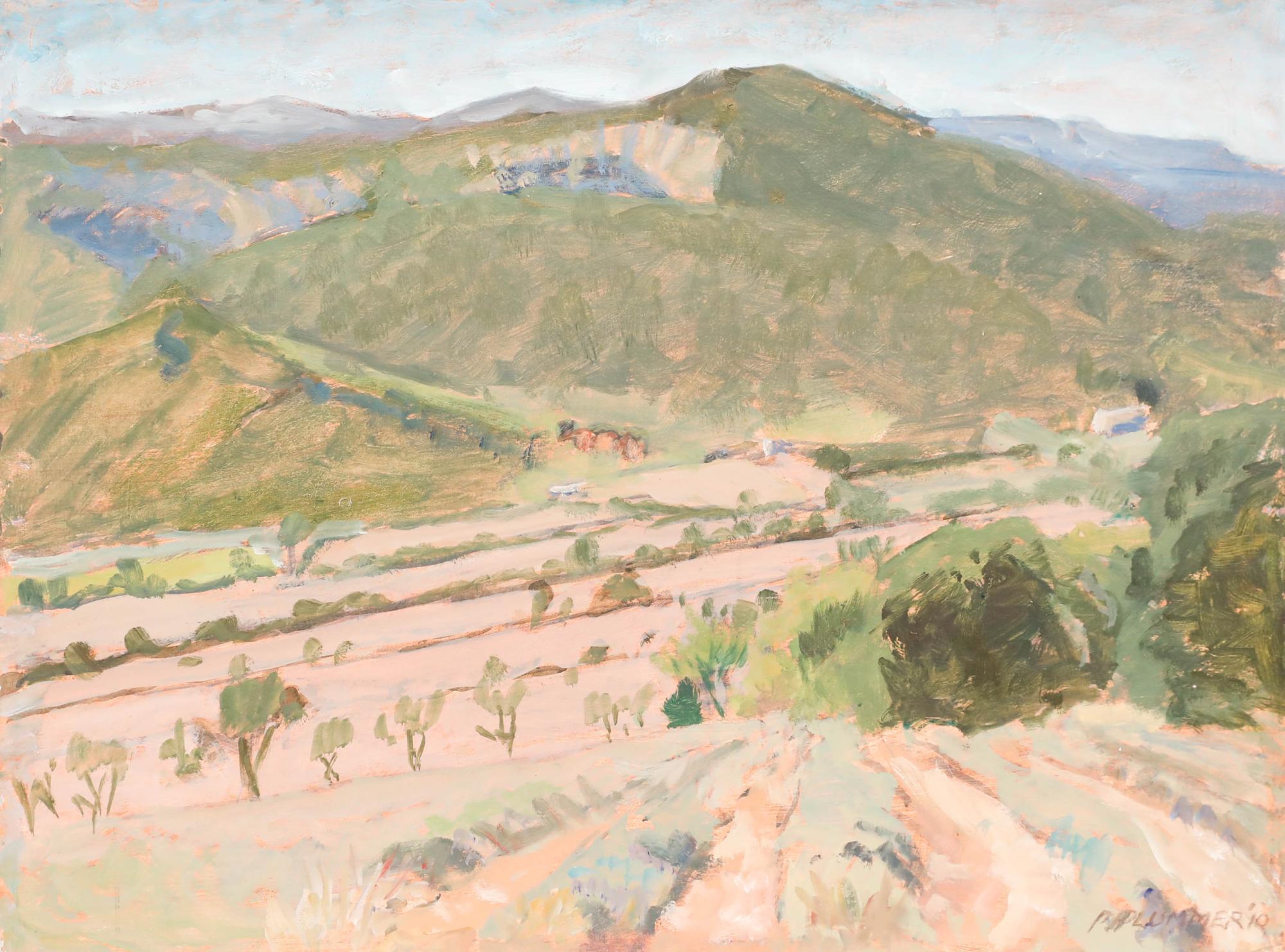 Pauline Plummer (geb. 1933) - 20. Jahrhundert Öl, Spanische Landschaft im Angebot 1
