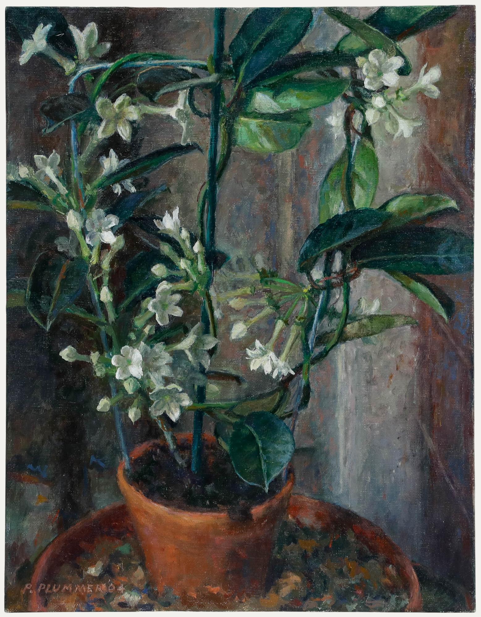 Eine reizvolle Blumenstudie von Pauline Plummer (geb. 1933), die eine blühende Nicotiana-Topfpflanze zeigt. Signiert unten links und datiert '04. Auf Leinwandkarton. 