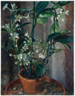 Pauline Plummer (b.1933) - Contemporary Oil, White Nicotiana
