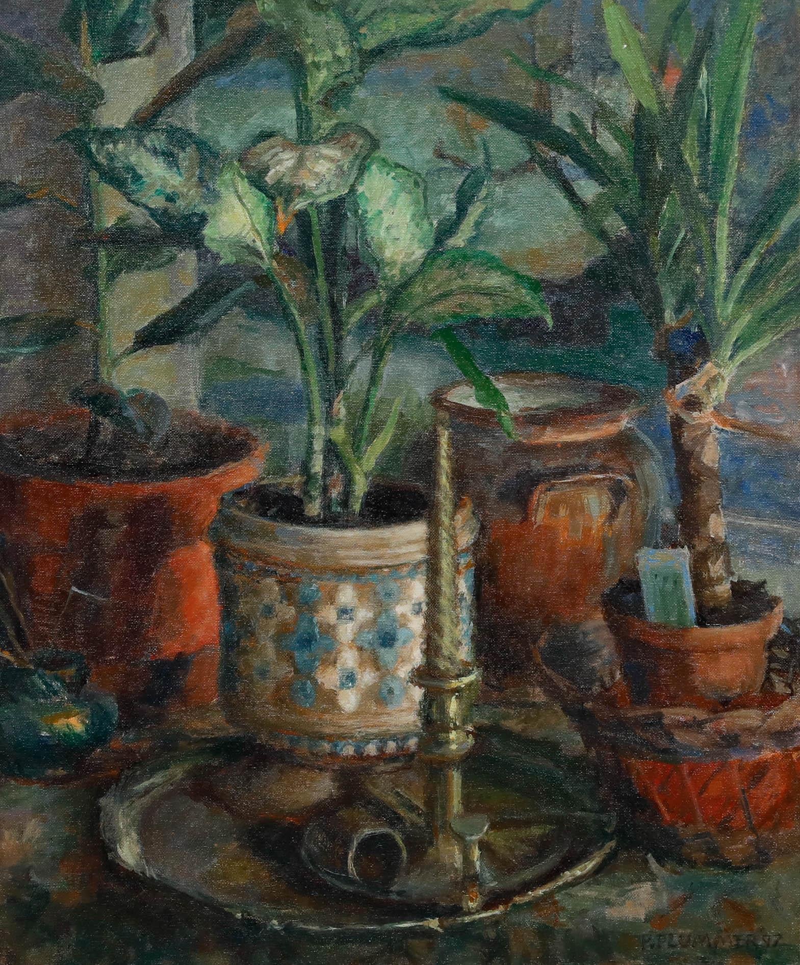 Pauline Plummer (geb. 1933) - Gerahmtes Öl, Stillleben mit getopften Zimmerpflanzen im Angebot 1
