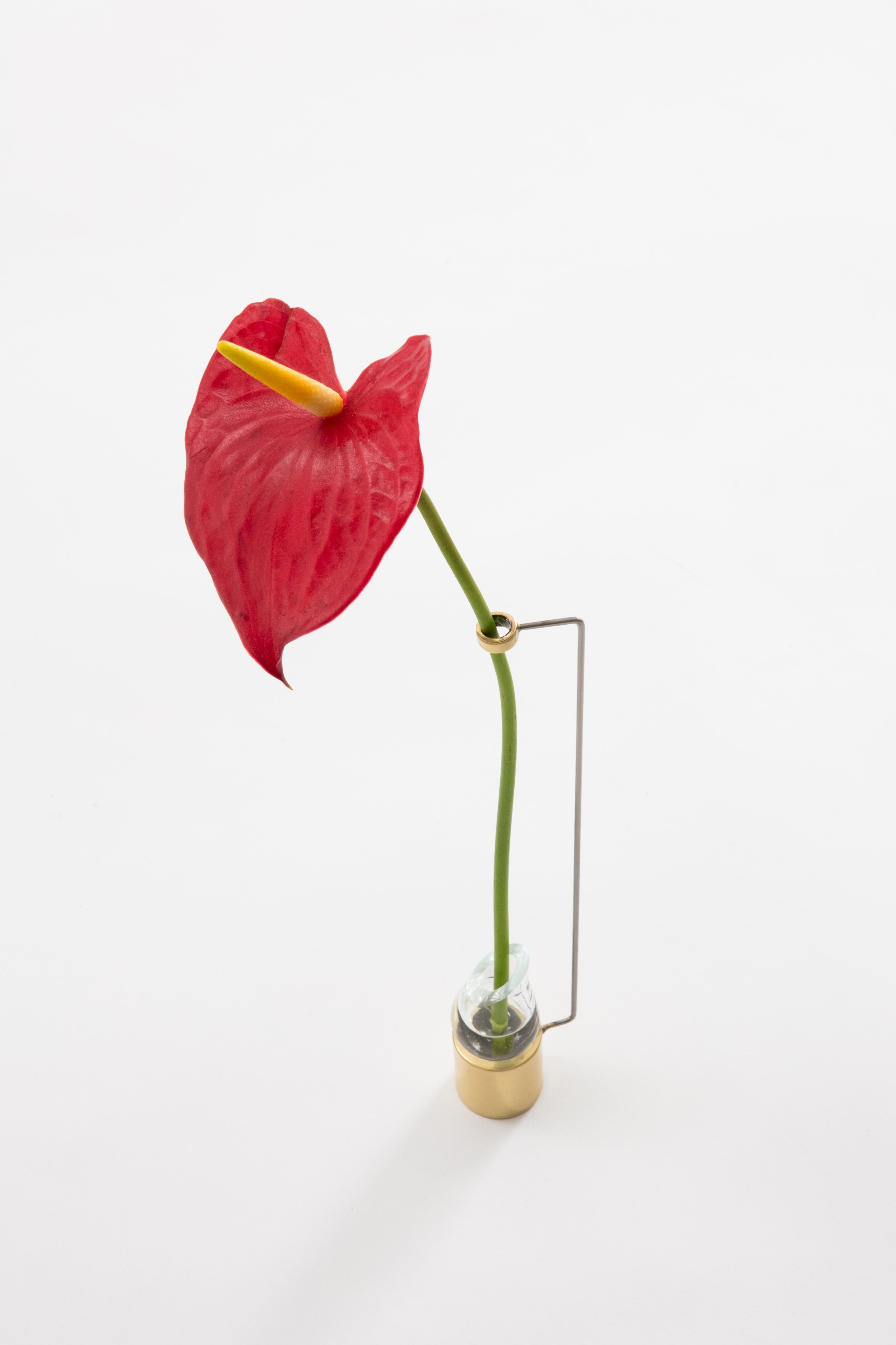 Paulo Goldstein's Piccolo vase, Brazilian contemporary design is part of a series of vases that are inspired in the observation of the natural lines of the flowers and leaves held in them, where the lines of the vases were designed to enhance and
