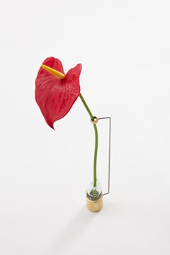Contemporary Minimalist Small Brass and Glass Solitary Vase