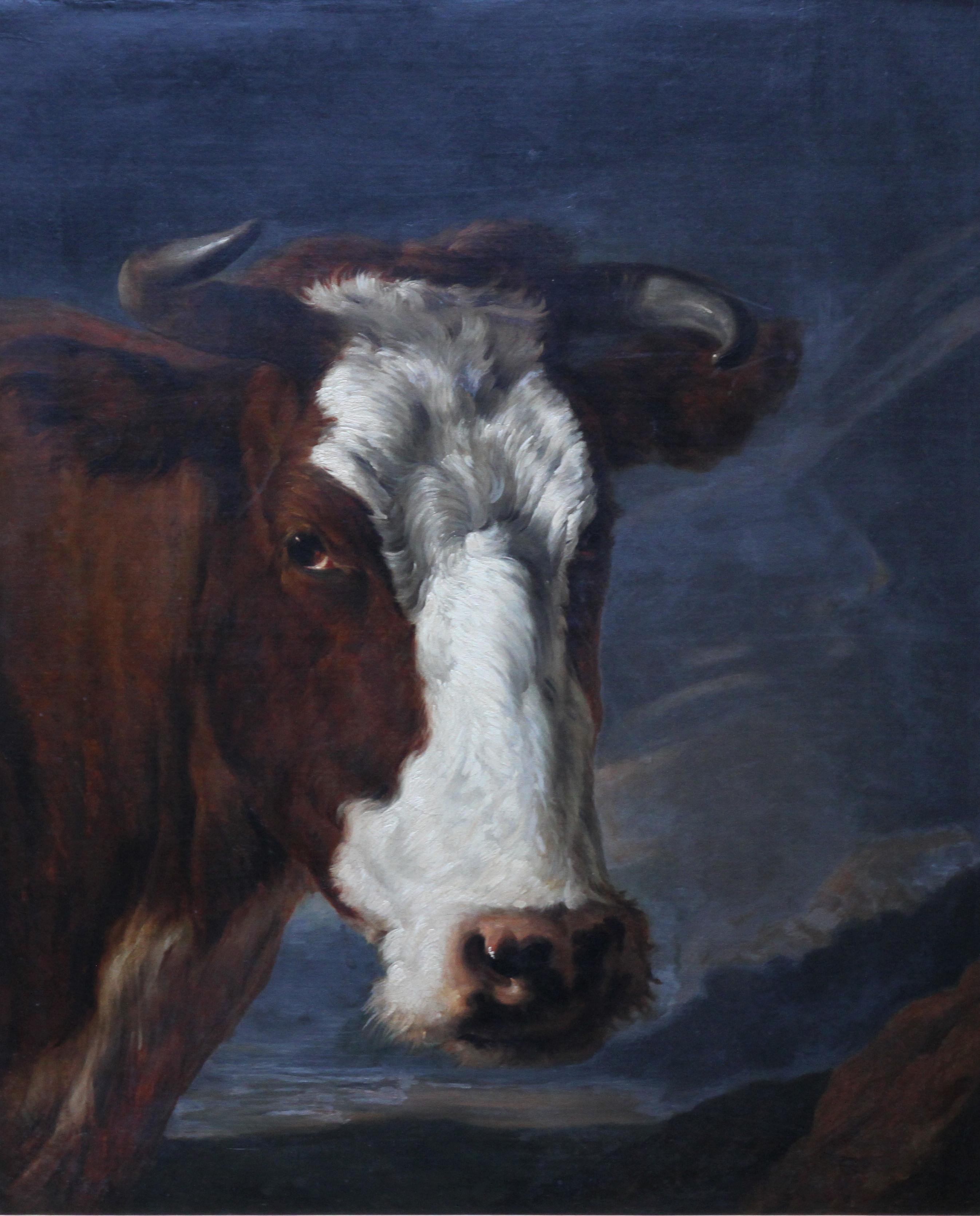 Porträt eines Stieres - Holländische Altmeister Kunst Tierporträt Ölgemälde (Alte Meister), Painting, von Paulus Potter