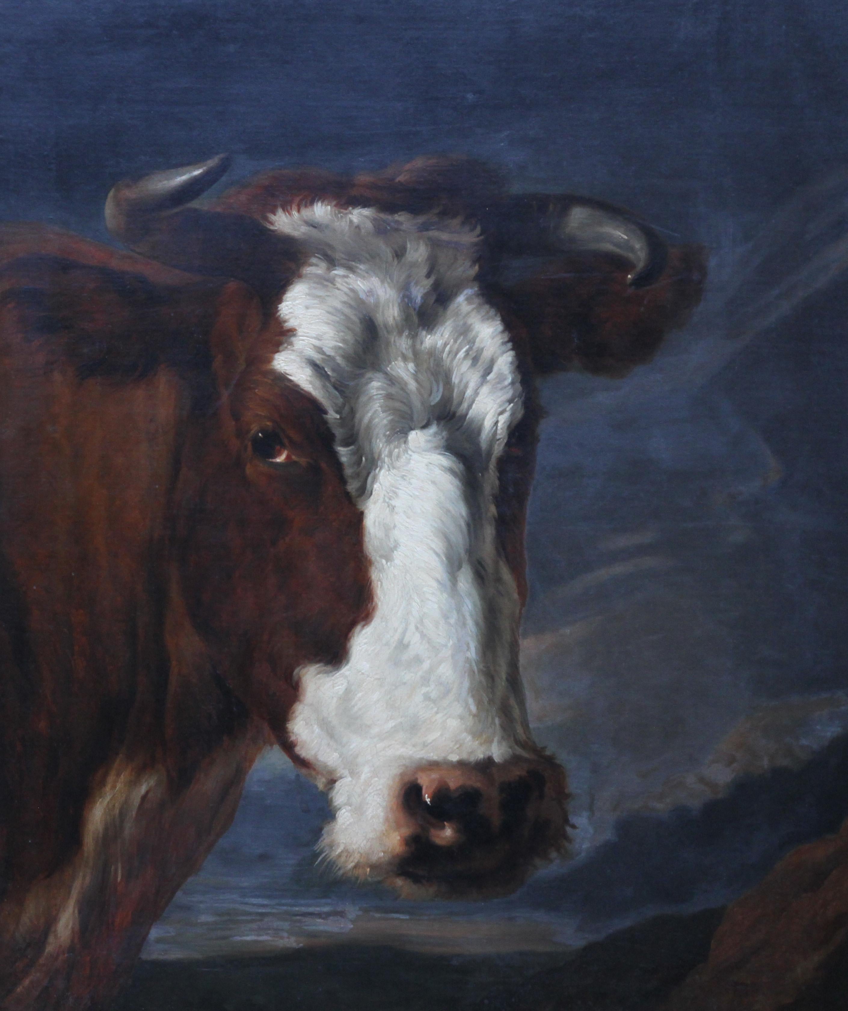 Porträt eines Stieres - Holländische Altmeister Kunst Tierporträt Ölgemälde (Schwarz), Animal Painting, von Paulus Potter