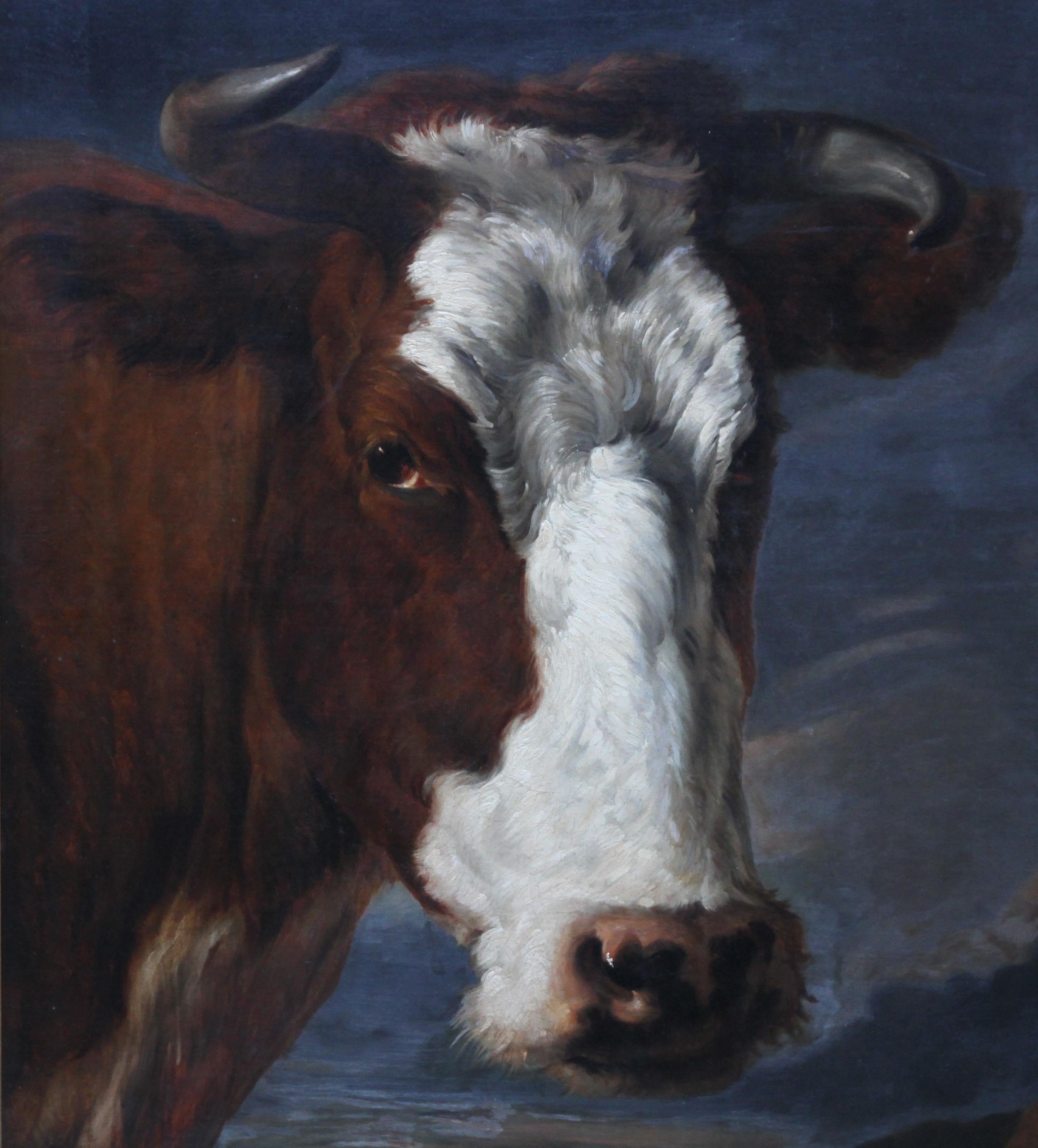 Dieses atemberaubende holländische Altmeister-Tierporträt-Ölgemälde wird einem Kreis oder Anhänger von Paulus Potter zugeschrieben. Es wurde um 1650 gemalt und zeigt den Kopf und die Schultern eines prächtigen Kurzhornbullen in einer Landschaft mit