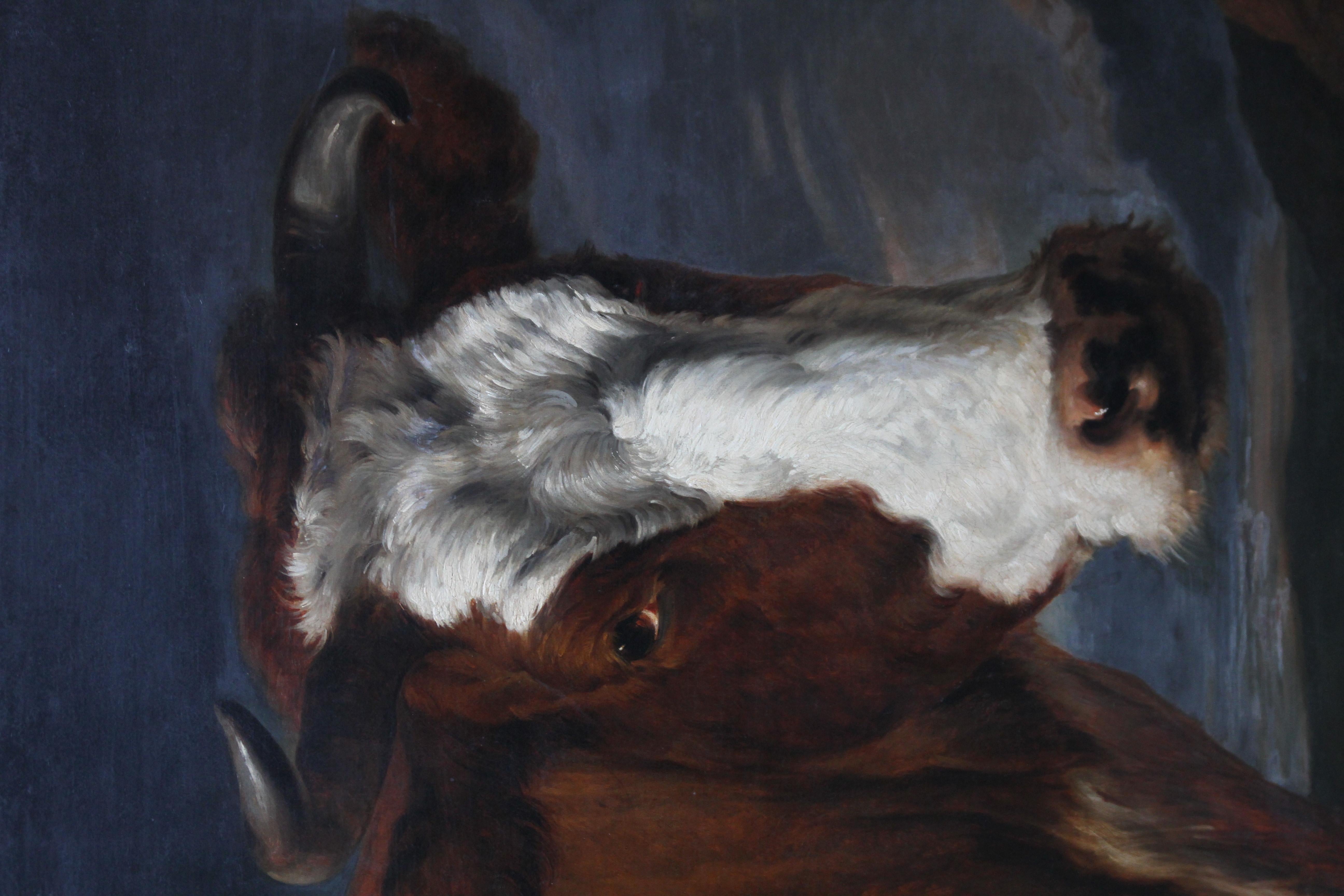 Porträt eines Stieres - Holländische Altmeister Kunst Tierporträt Ölgemälde im Angebot 1