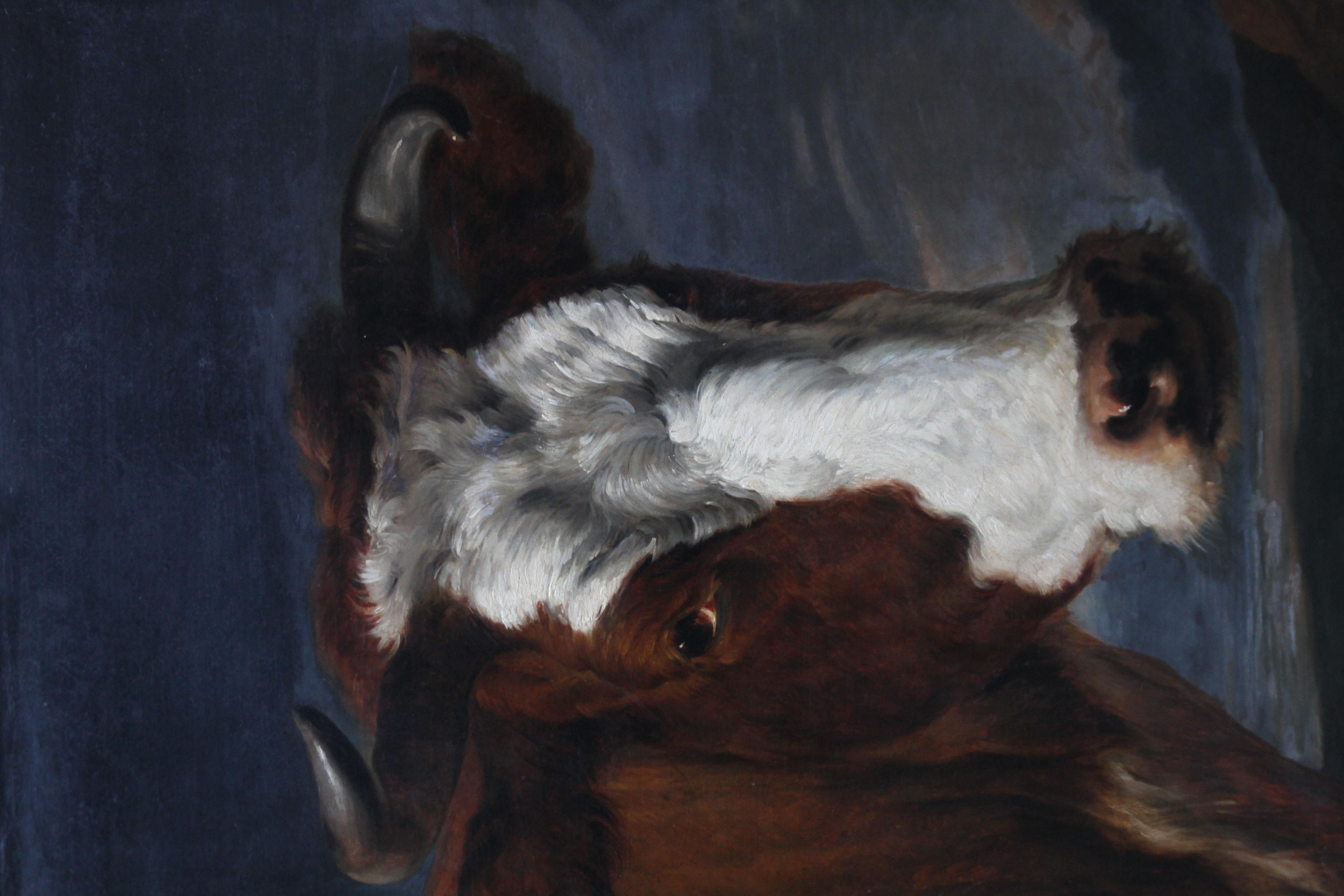 Porträt eines Stieres - Holländische Altmeister Kunst Tierporträt Ölgemälde im Angebot 2