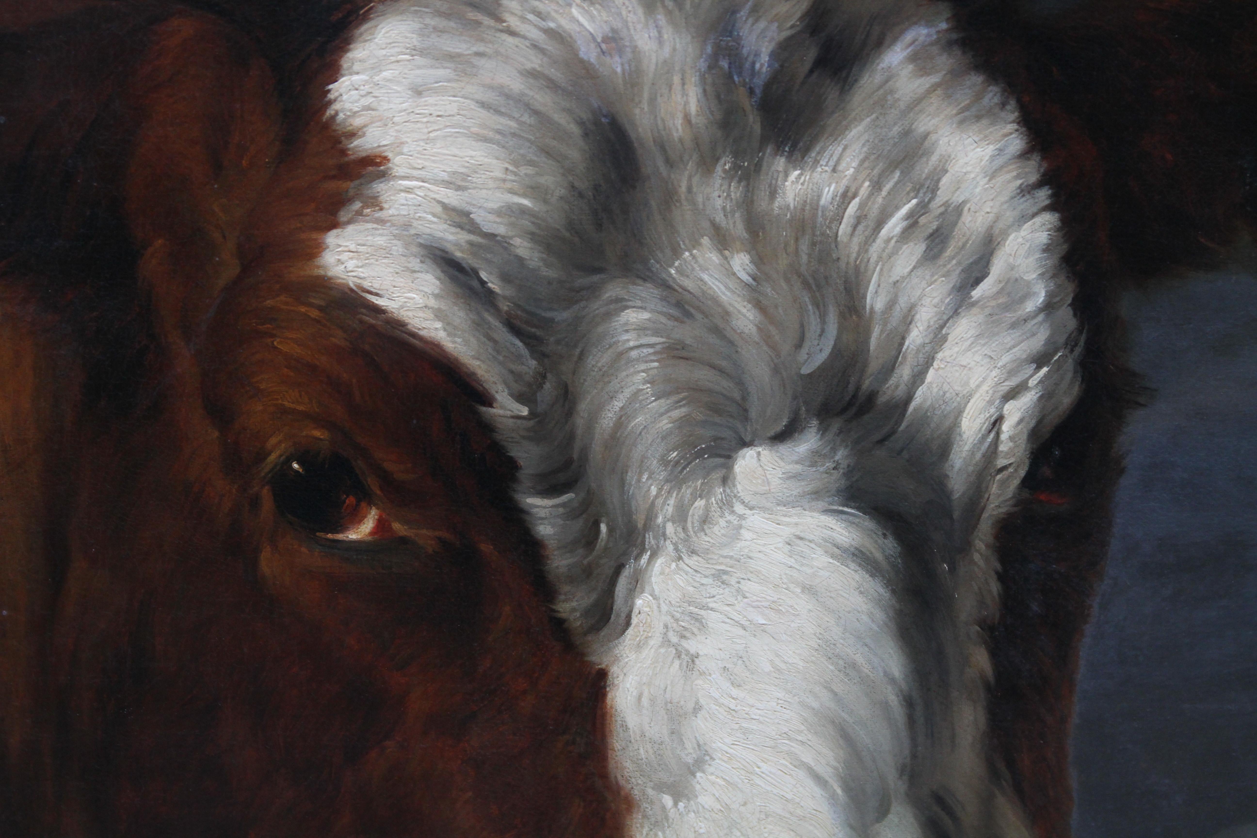 Porträt eines Stieres - Holländische Altmeister Kunst Tierporträt Ölgemälde im Angebot 3