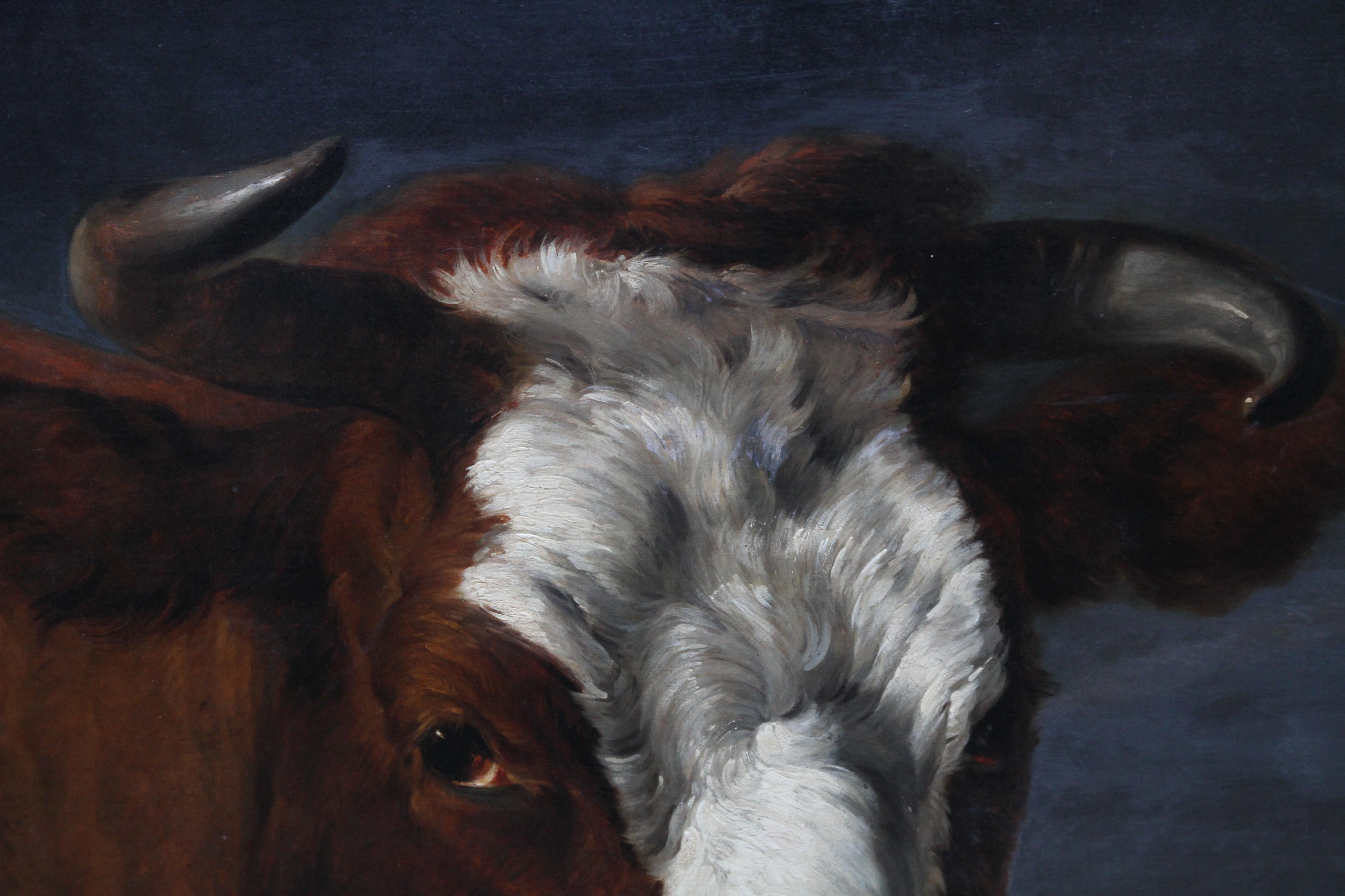 Porträt eines Stieres - Holländische Altmeister Kunst Tierporträt Ölgemälde im Angebot 4