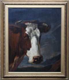 Animal Paintings