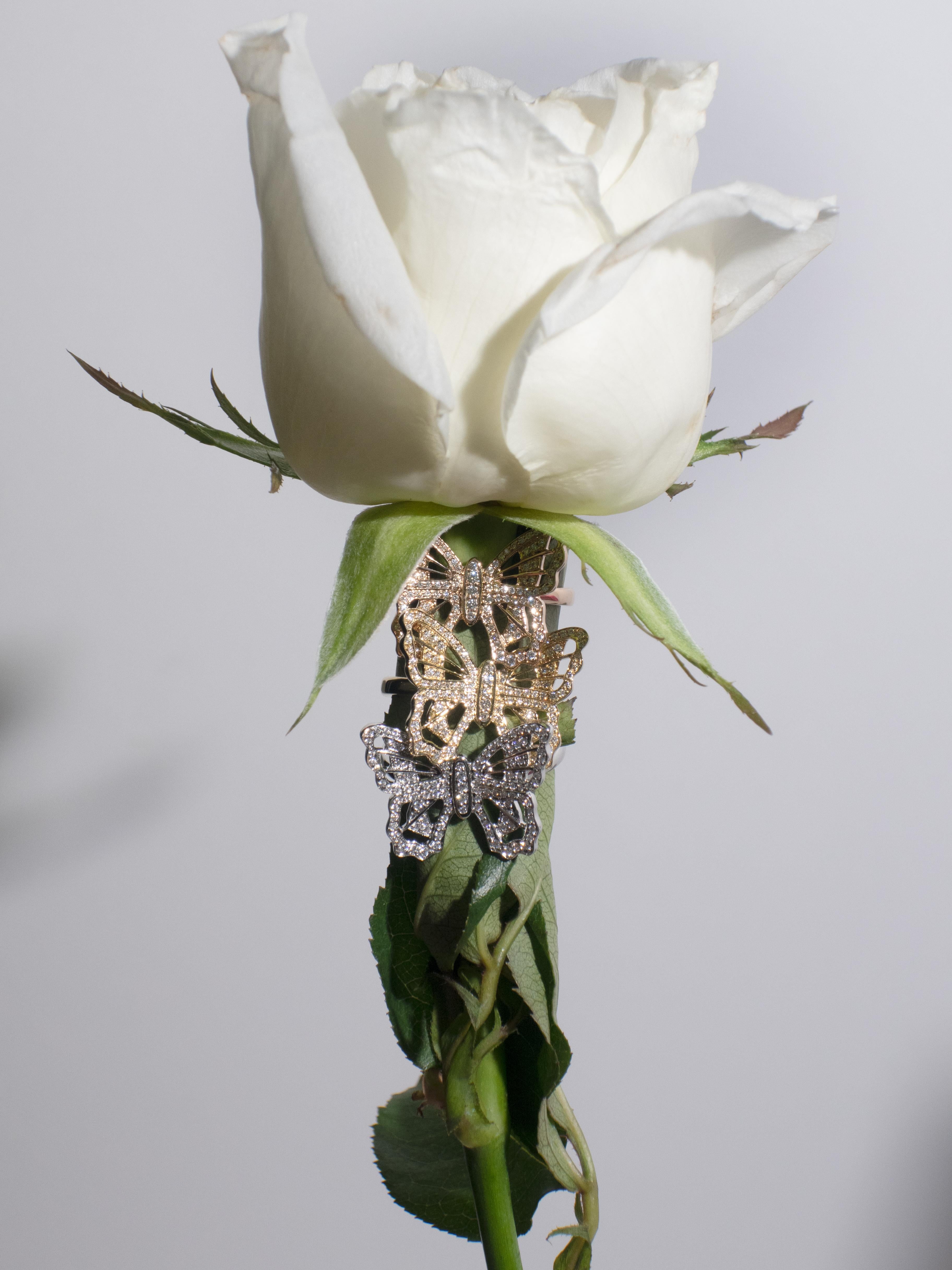 Butterly-Ring aus 18 Karat Weißgold mit Pave'd-Diamant im Angebot 3