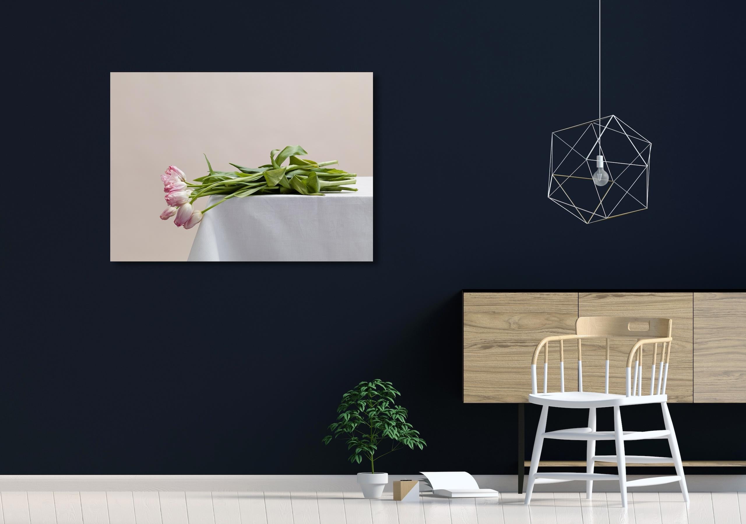 Untitled (#08-22) by Pawel Żak - Contemporary studio photography, flowers For Sale 1