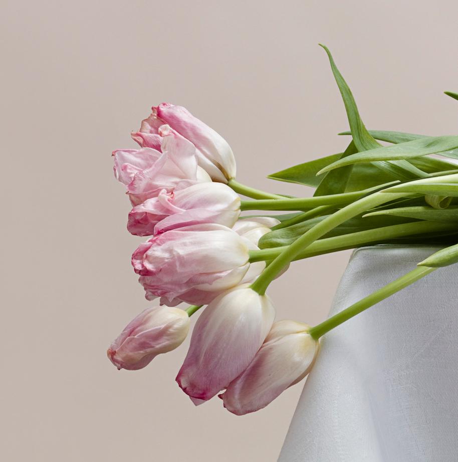 Untitled (#08-22) by Pawel Żak - Contemporary studio photography, flowers For Sale 2