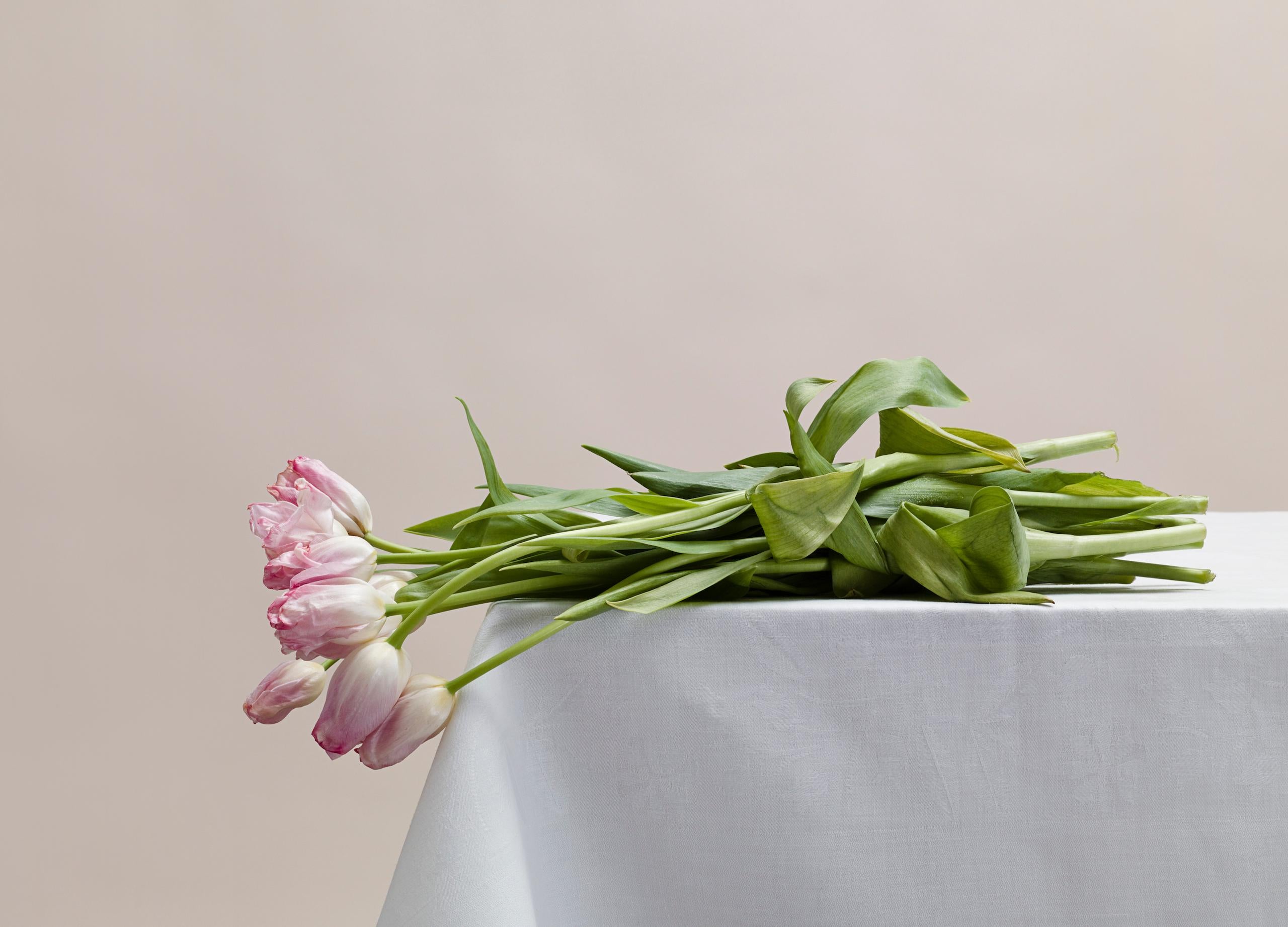 Untitled (#08-22) by Pawel Żak - Contemporary studio photography, flowers