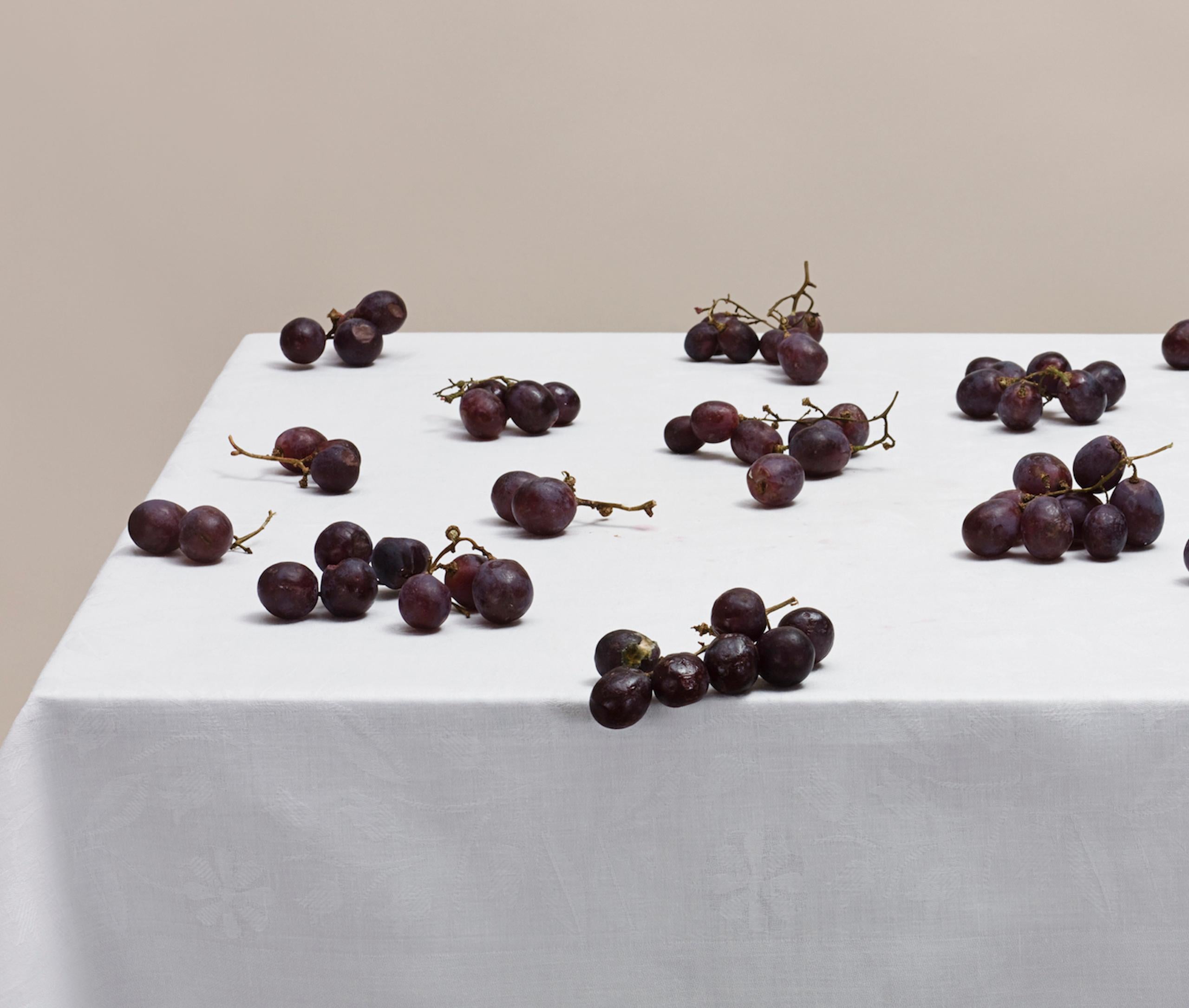Untitled (#08-23) by Pawel Żak - Contemporary studio photography, grape, fruits For Sale 2