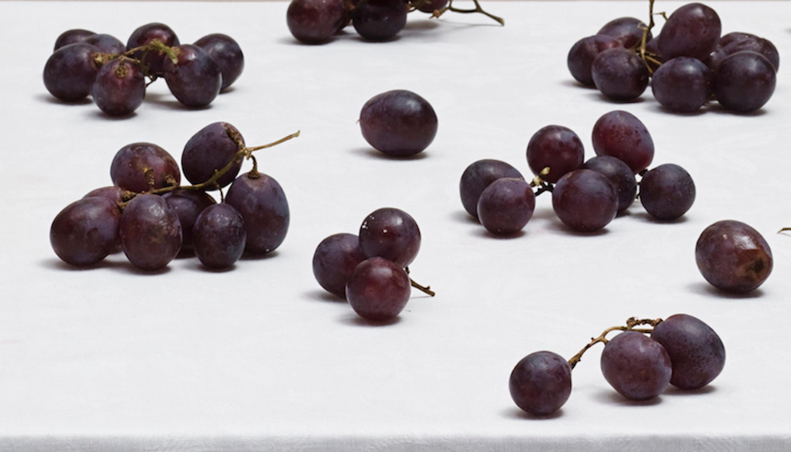 Untitled (#08-23) by Pawel Żak - Contemporary studio photography, grape, fruits For Sale 4