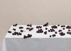 Used Untitled (#08-23) by Pawel Żak - Contemporary studio photography, grape, fruits