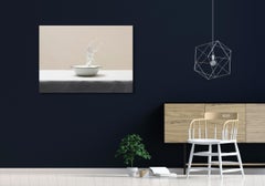 Untitled (#10-13) by Pawel Żak - Contemporary studio photography, milk, splash
