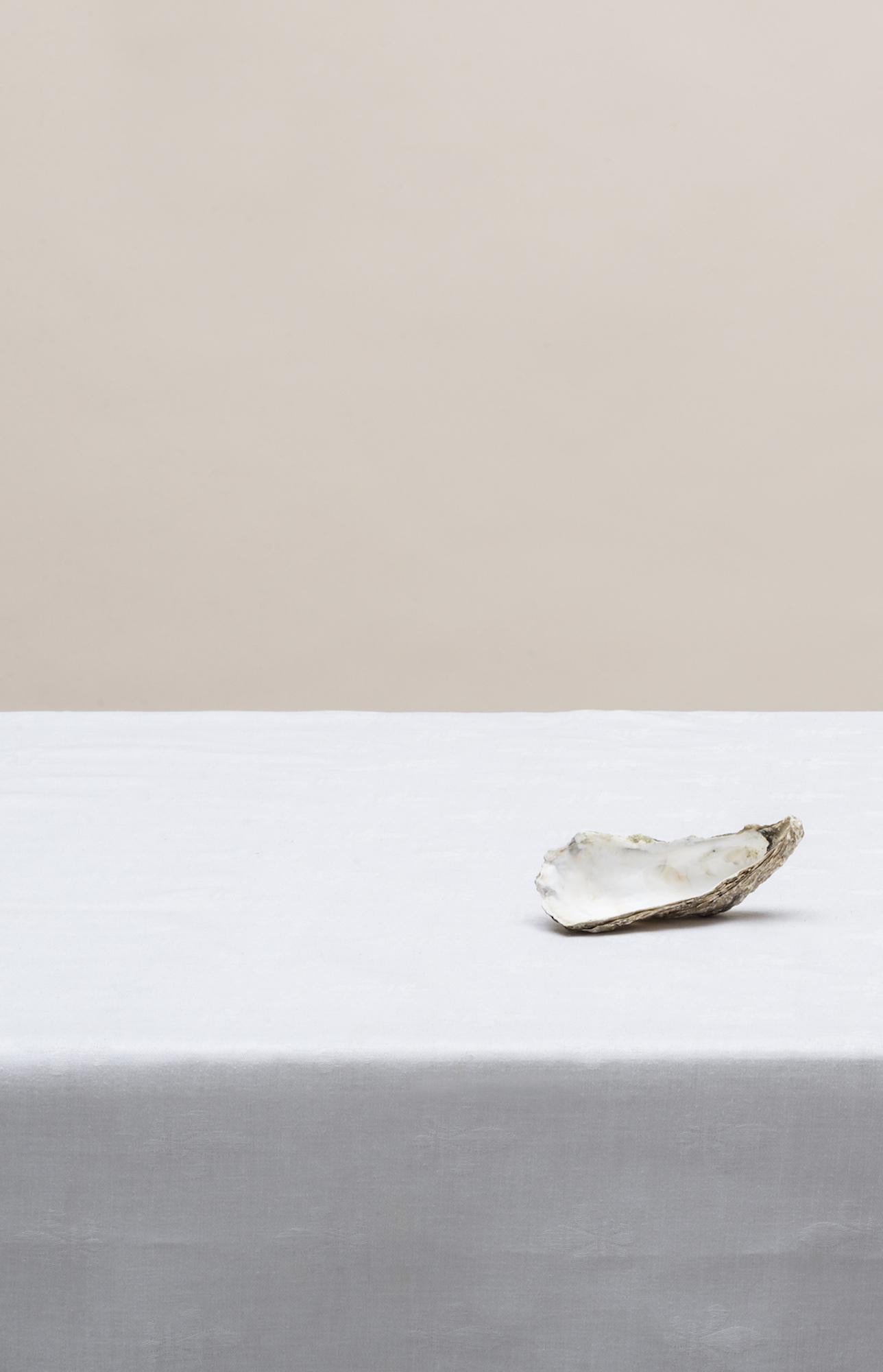 Senza titolo (#14-5) di Pawel Żak - Fotografia contemporanea in studio, ostriche, pastello in vendita 3