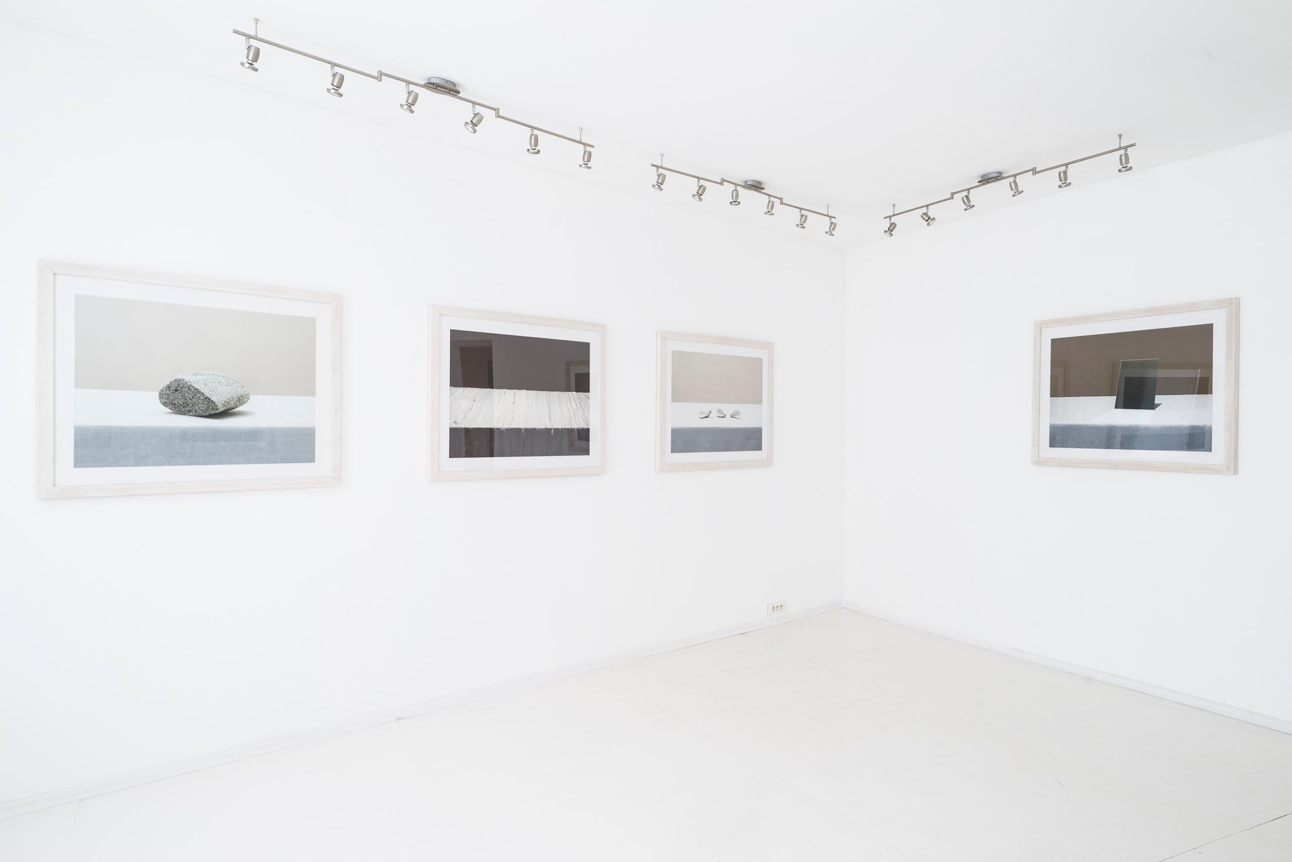 Senza titolo (#14-5) di Pawel Żak - Fotografia contemporanea in studio, ostriche, pastello in vendita 4