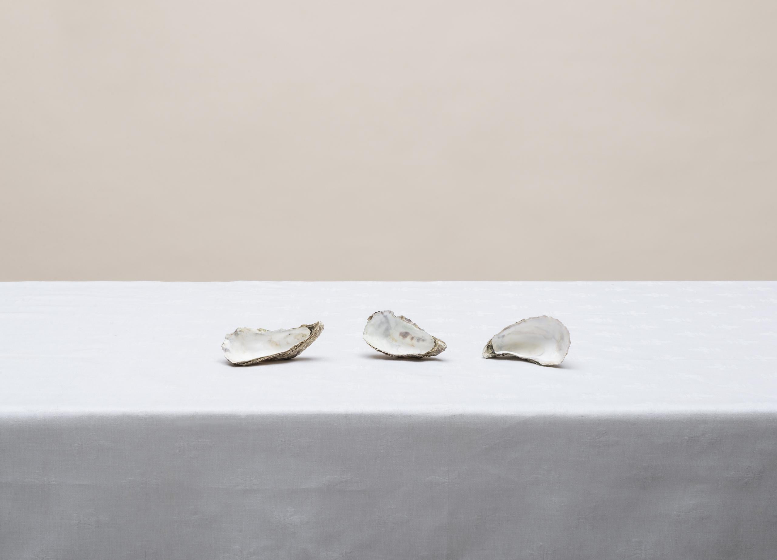 Senza titolo (#14-5) è una fotografia dell'artista contemporaneo polacco Pawel Żak. 

Questa fotografia viene venduta solo come stampa, senza cornice. È disponibile in una sola dimensione, in edizione di 7 copie. Le dimensioni sono 67 x 93 cm (26,3