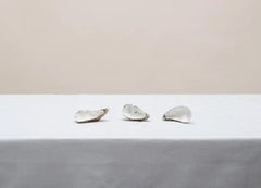 Sin título (#14-5) de Pawel Żak - Fotografía de estudio contemporánea, ostras, pastel