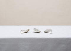 Ohne Titel (#14-5) von Pawel Żak - Contemporary studio photography, Austern, Muscheln